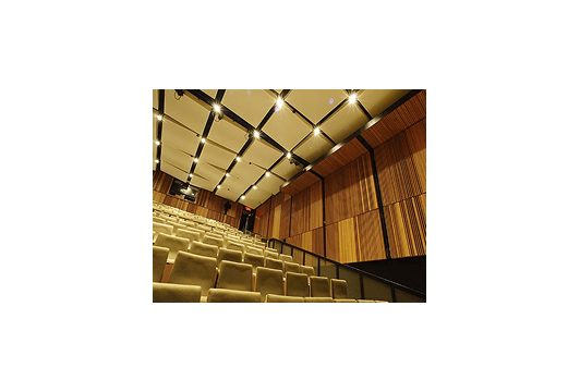 Cinema Acoustics