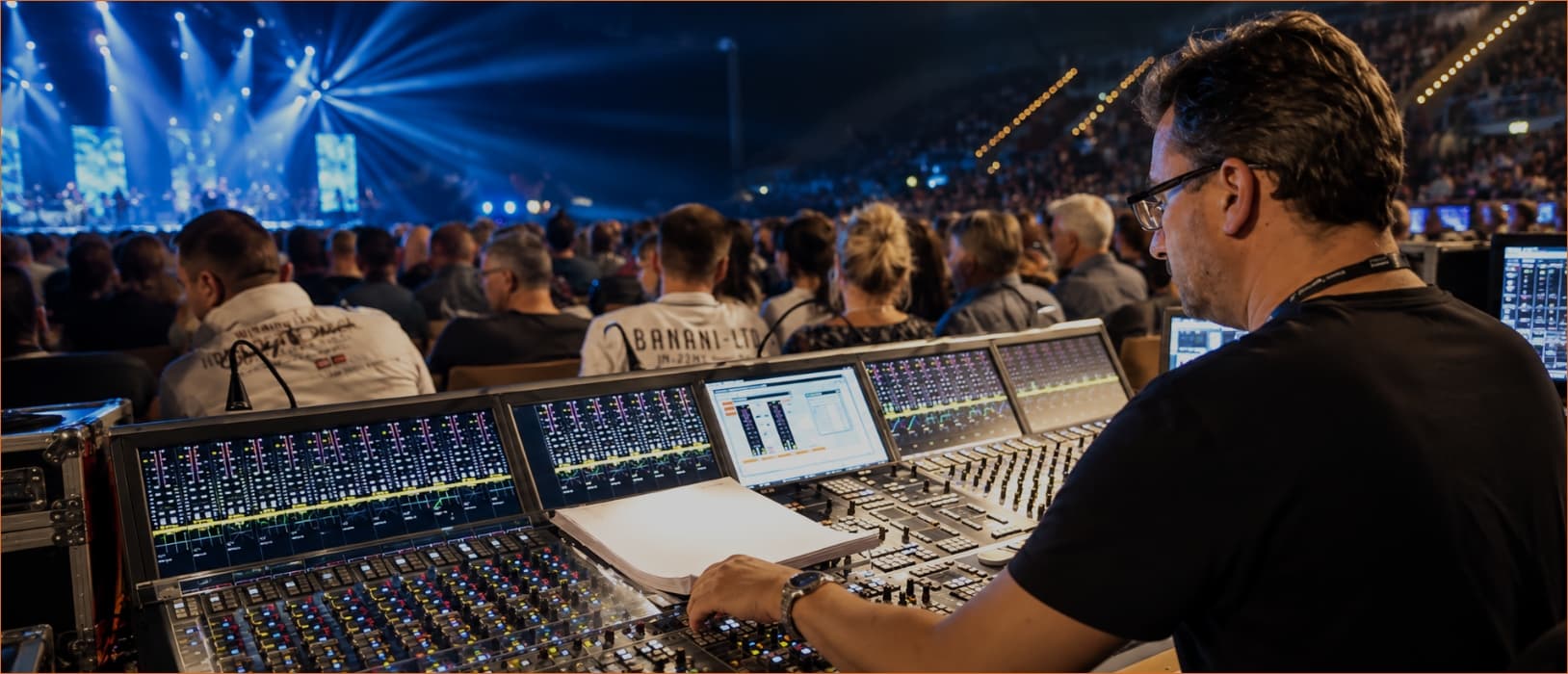Professional Audio Systems